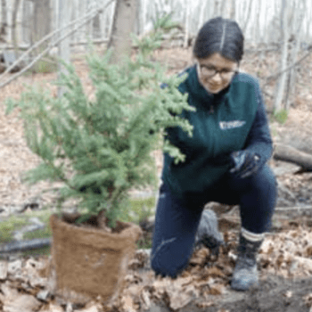 Planting Forests with Cheyene Brunet